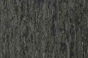 Линолеум Tarkett iq Optima DARK BEIGE GREY 0875 фото  | FLOORDEALER